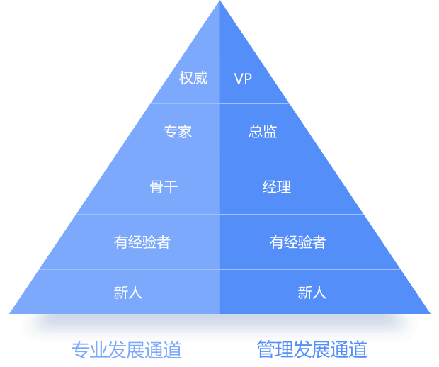 豹趣的成长路径